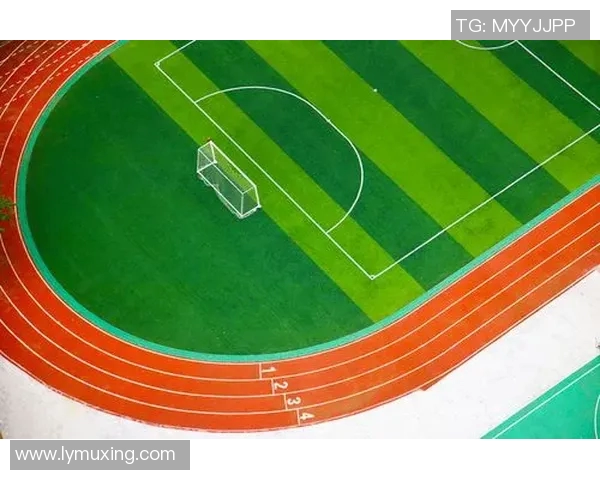 足球一级运动员的成长之路与职业生涯发展全景解析